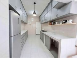 Botanic Gardens Mansion (D10), Apartment #517520211